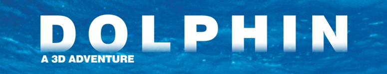 Dolphin: A 3D Adventure